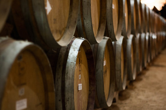 Alla scoperta dell'enologia e della produzione del vino