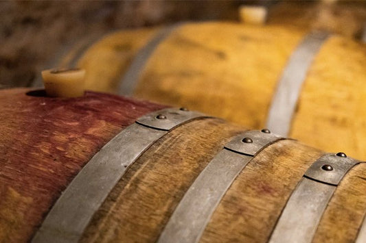 Fermentazione alcolica del vino: come funziona e che ruolo ha nella vinificazione?