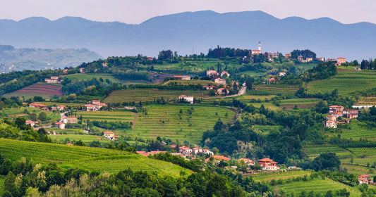 Vini Friulani: caratteristiche, denominazioni e storia