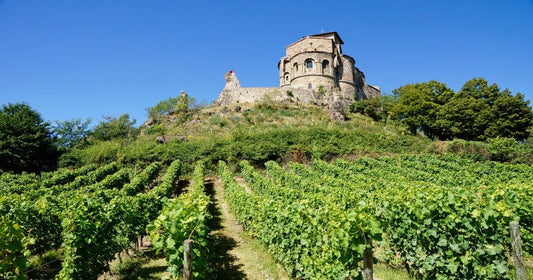 Vini della Loira: storia, caratteristiche e AOC più importanti