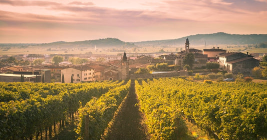 Vino Soave: caratteristiche e storia