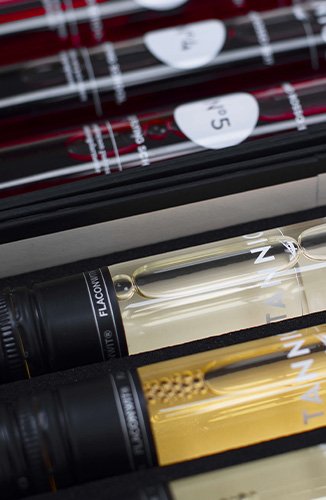 TFS at Home, doppio Kit: Che vino rosso sei? + Che vino bianco sei?