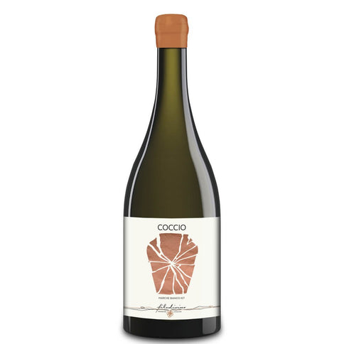 Marche Bianco Macerato IGT "Coccio" 2021 - Filodivino