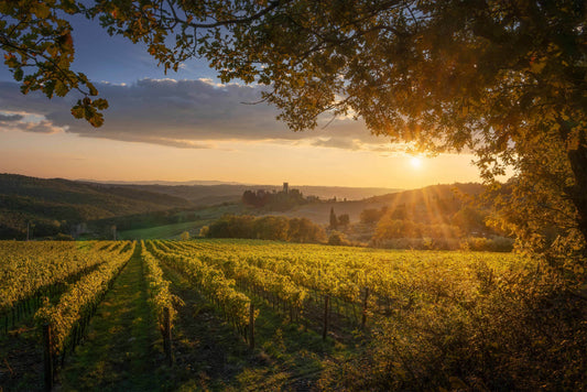 Quattro giorni in Chianti Classico: il tour consigliato dai nostri esperti