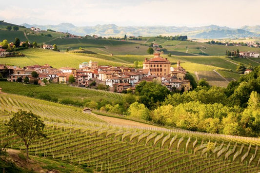 Strada del Barolo e vini delle Langhe