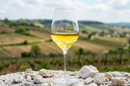 Migliori Chablis qualità prezzo: la guida all'acquisto