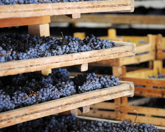 Quali sono i migliori rossi veneti? La guida completa di Tannico