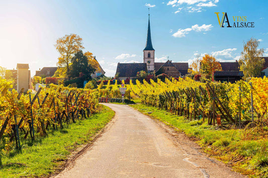 Tre giorni sulla Route des Vins d’Alsace