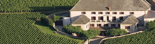 Vini Marchigiani: storia, caratteristiche e principali vitigni