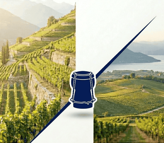 Trento DOC vs Franciacorta: quale scegliere e perché