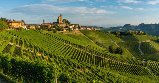 Qual è la differenza tra Barolo e Barbaresco?