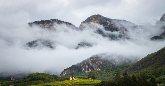 I vini di Caldaro, Bolzano e della Valle dell'Adige: caratteristiche e tipologie