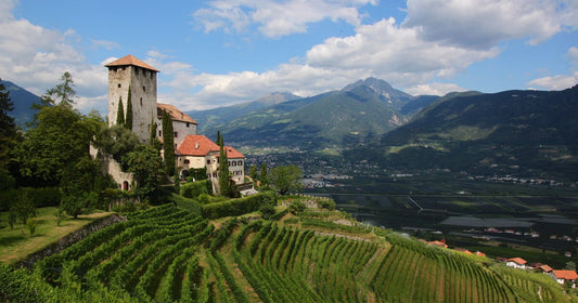 Qual è il miglior Pinot Nero italiano?