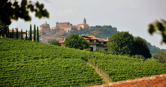 Cosa si intende con Barbera Superiore?