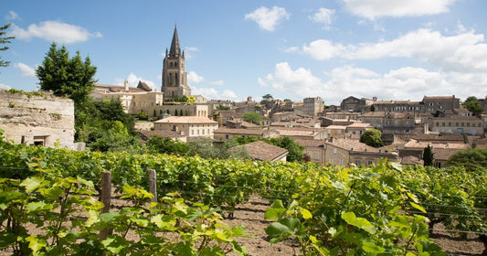 La guida completa ai vini di Bordeaux: dalla classificazione alle denominazioni più importanti