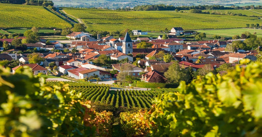 AOC Coteaux Champenois: il lato tranquillo della Champagne