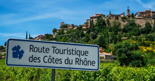 I vini della Valle del Rodano: caratteristiche e AOC più importanti