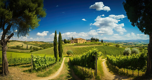 I vini del Chianti: storia, vitigni, caratteristiche
