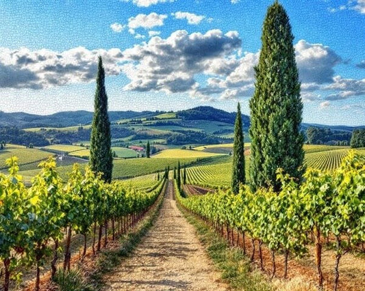 Quali sono i migliori rossi veneti? La guida completa di Tannico