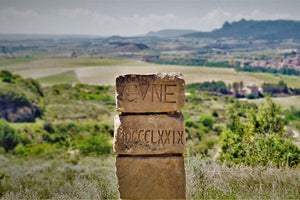 CVNE