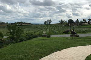 Château Mangot