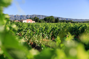 Mas de Cadenet