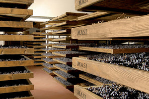 Masi