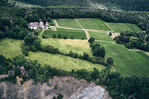 Weingut Odinstal