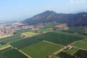 Girolamo Conforti