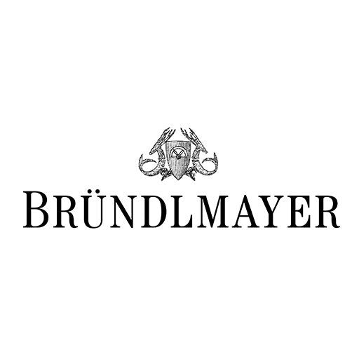 Grüner Veltliner Berg Vogelsang 2022 - Weingut Bründlmayer (tappo a vite)