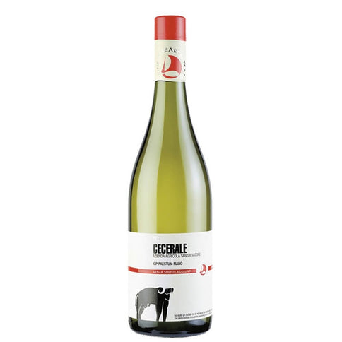 Paestum Fiano IGP "Cecerale" 2024 - San Salvatore 1988