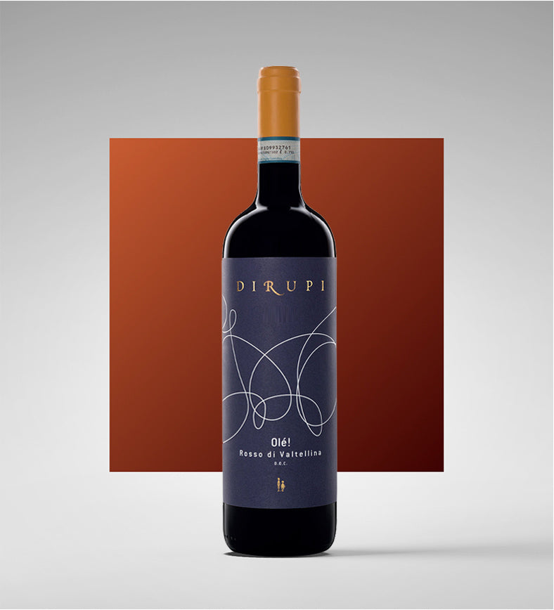 Rosso di Valtellina DOC “Olé!” 2024 - Dirupi