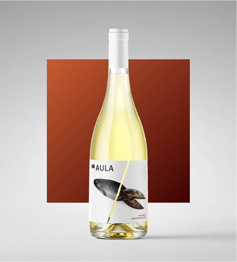 Utiel Requena Macabeo Sauvignon Blanc DO 2024 - Aula