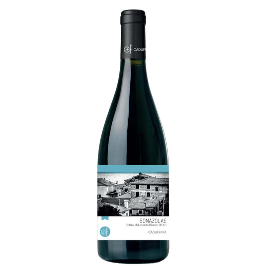 Colline di Levanto Bianco DOP "Bonazolae" 2023 - Cà du Ferrà