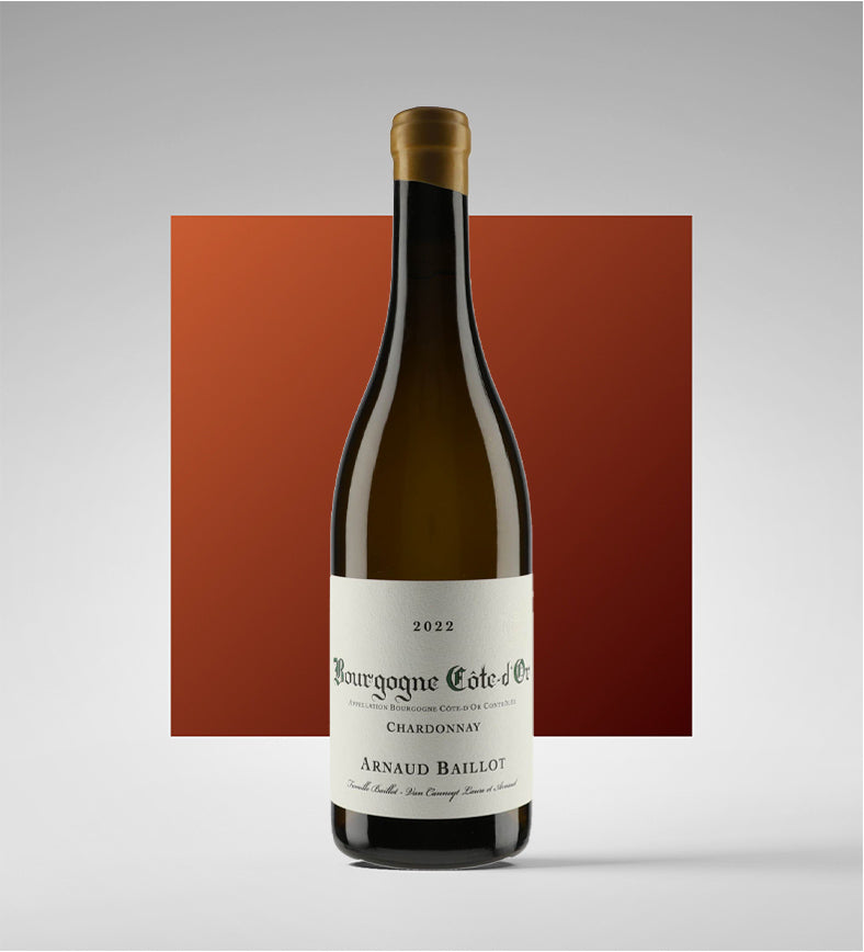 Bourgogne Côte-d’Or Blanc 2024 - Arnaud Baillot