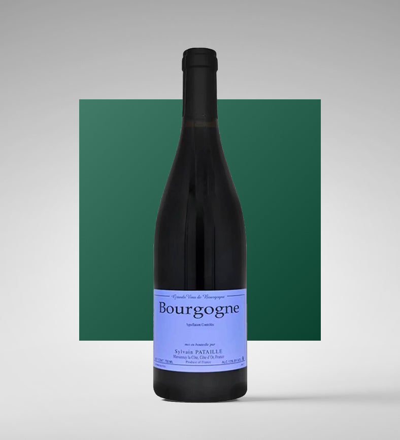 Bourgogne Rouge 2023 - Sylvain Pataille