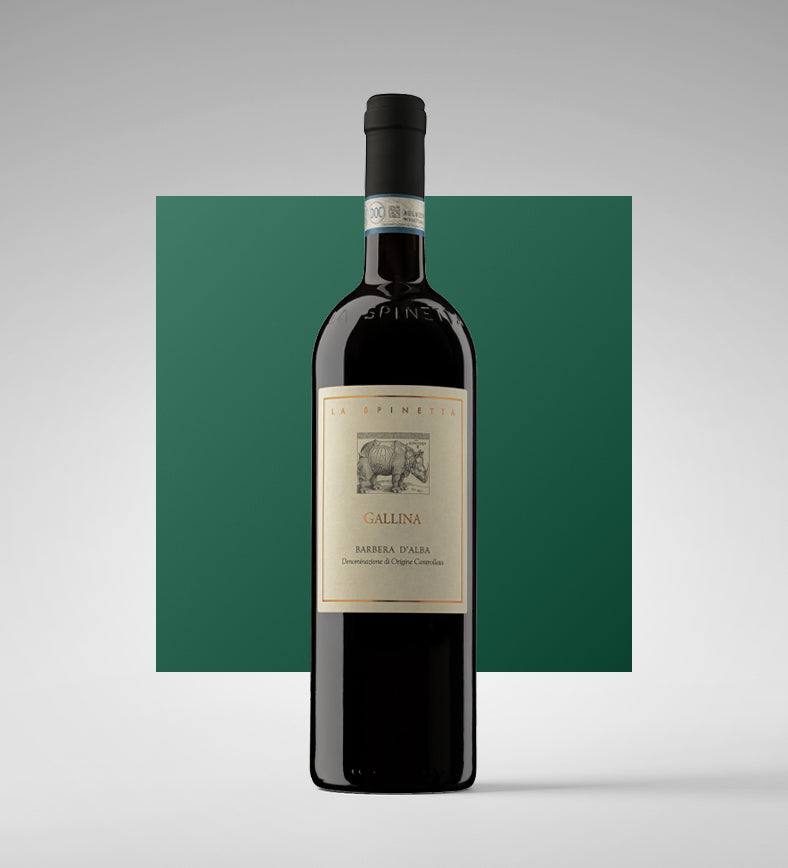 Barbera d'Alba DOC Superiore "Gallina" 2023 - La Spinetta