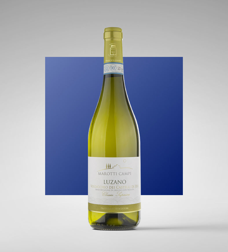 Verdicchio dei Castelli di Jesi Classico Superiore DOC "Luzano" 2025 - Marotti Campi