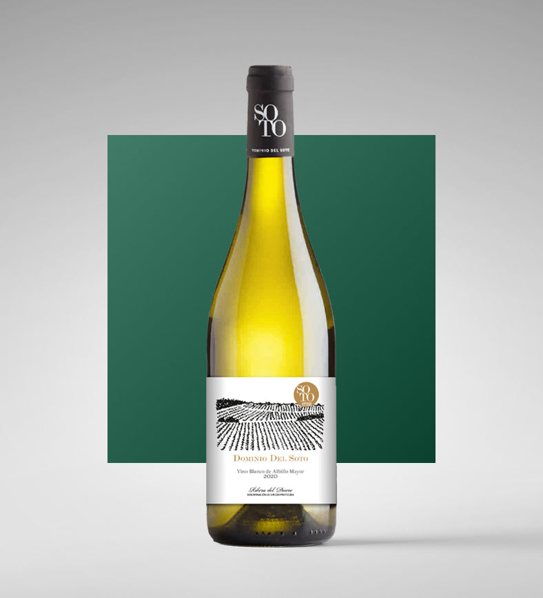 Ribera del Duero DOCa Blanco 2022 - Dominio del Soto