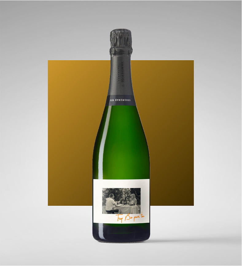 Champagne Extra Brut AOC “Trop bio pour toi” - M. Hostomme