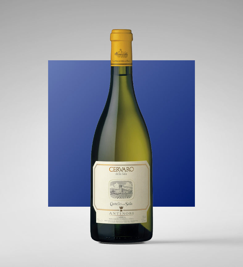 Umbria Bianco IGT "Cervaro della Sala" 2024 - Castello della Sala