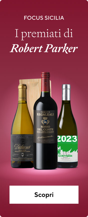 Scopri i vini del sud