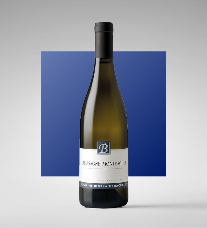 Chassagne-Montrachet Village Blanc 2023 - Domaine Bertrand Bachelet