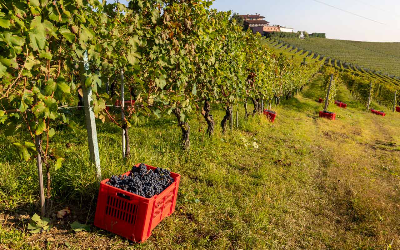 I protagonisti del Piemonte