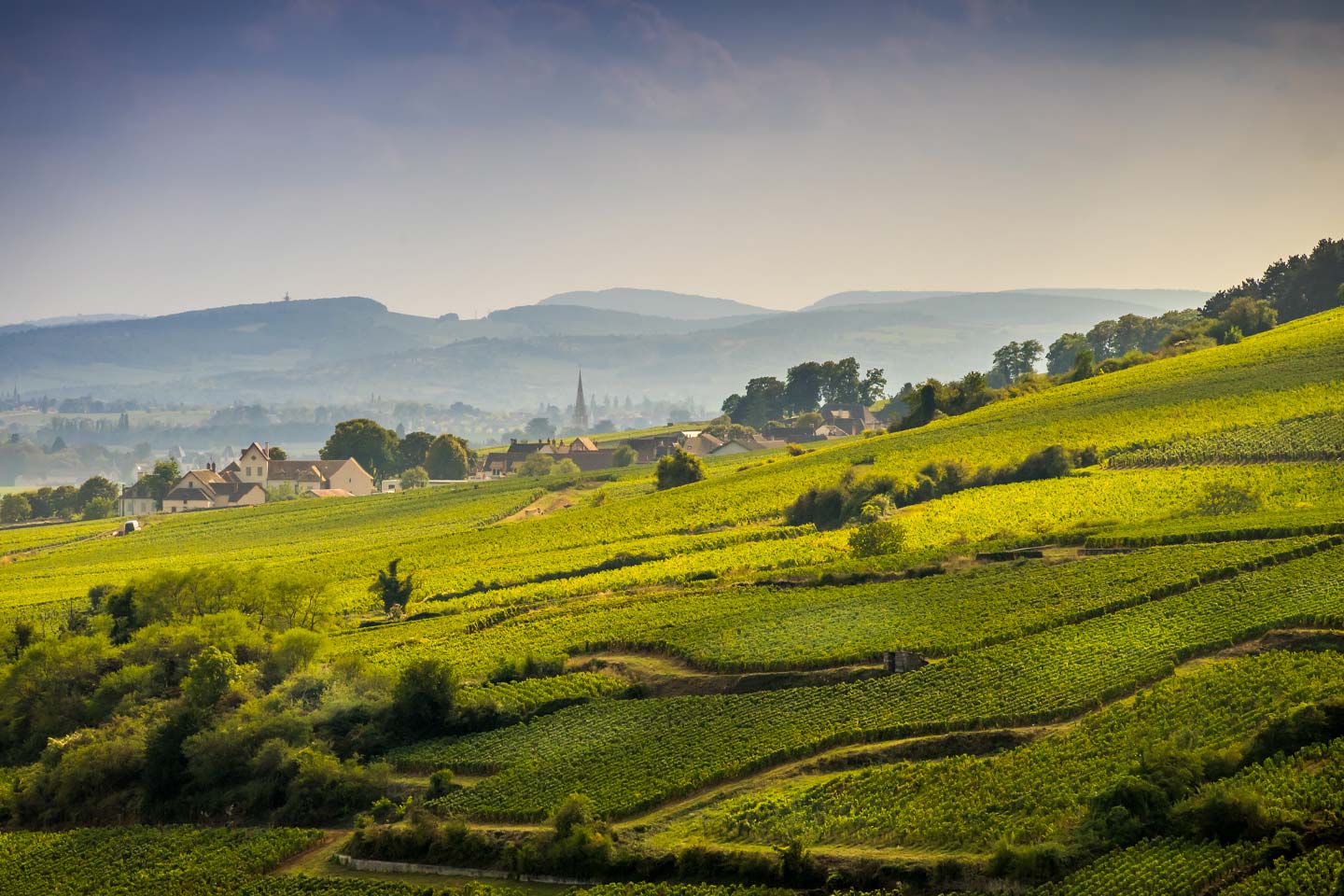 Bijoux di Borgogna: una collezione di tesori fino a -35%