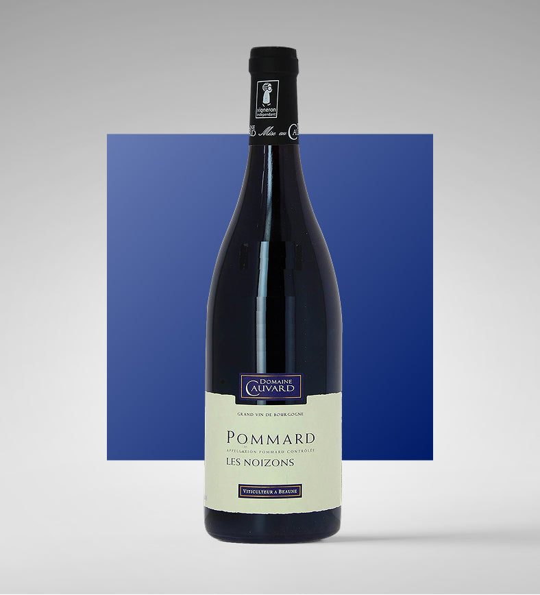 Pommard ''Les Noizons'' 2023 - Domaine Cauvard