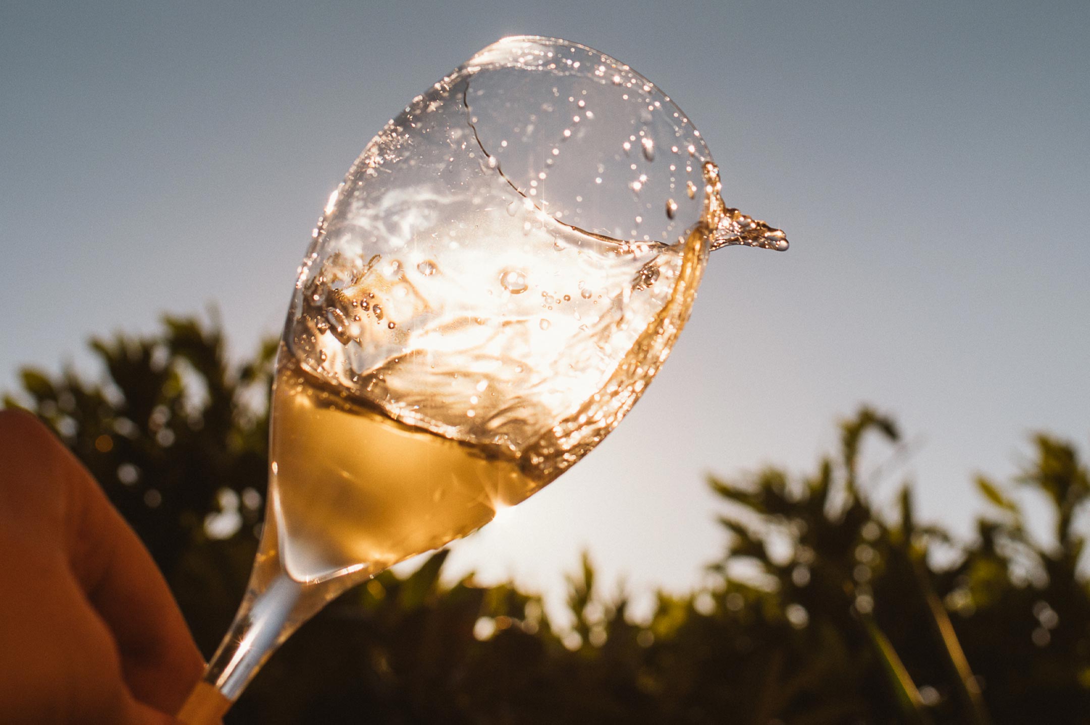 Sognando l'estate: fino a -30%