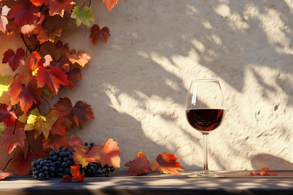 Vini d'autunno: fino a -30%