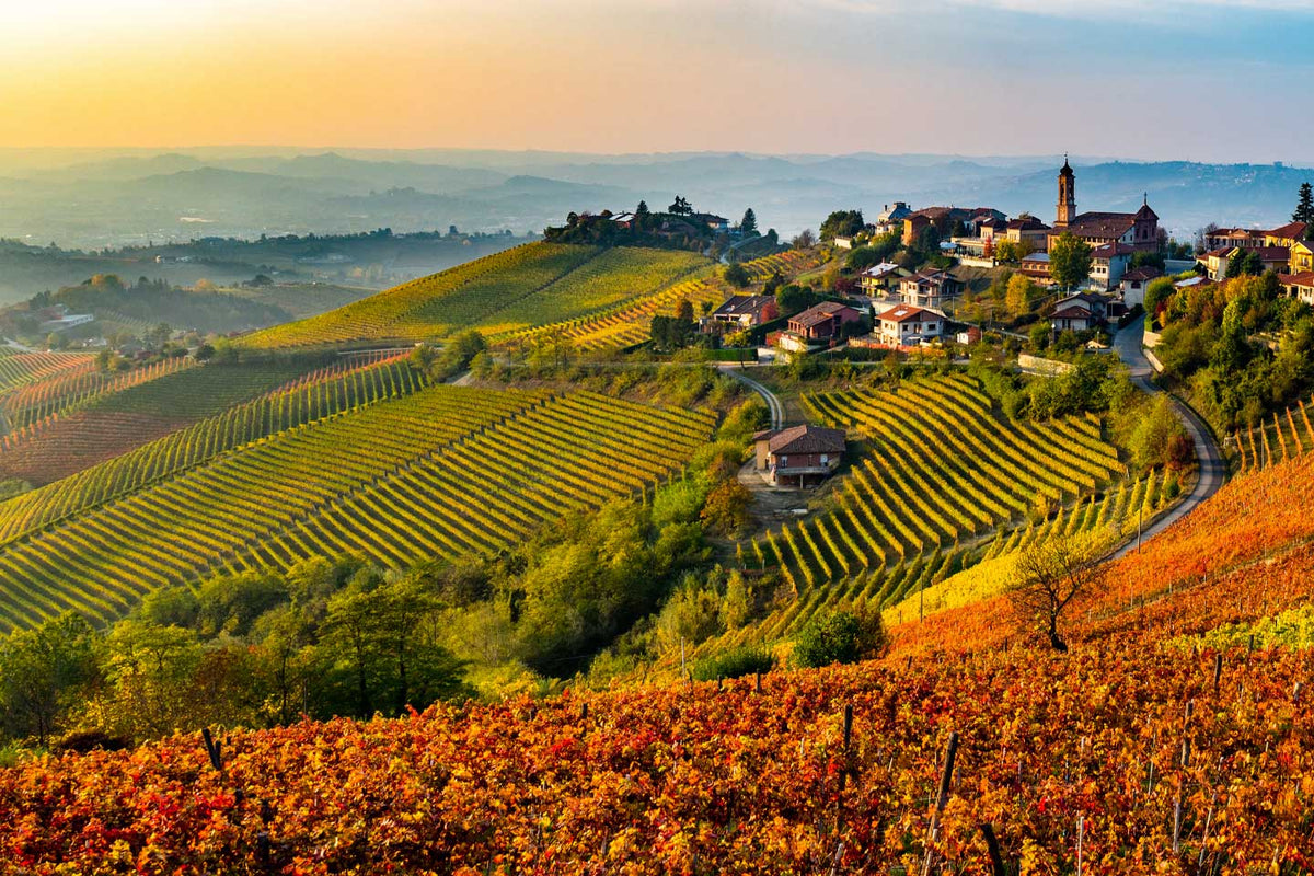 Vini delle Langhe: fino a -30%