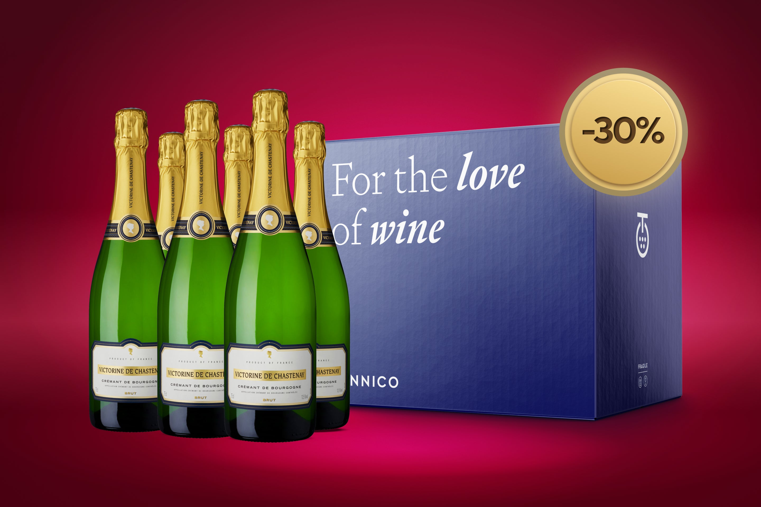 Victorine De Chastenay